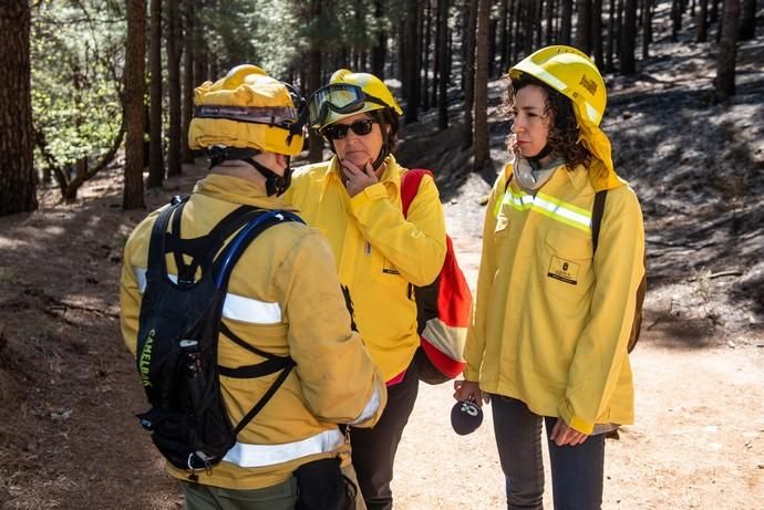 La UME realiza prácticas de prevención de incendios en Gran Canaria
