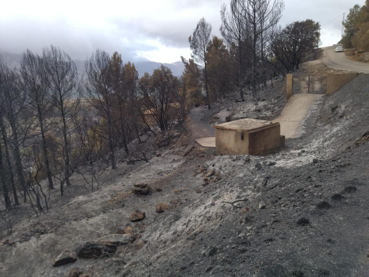 La destrucción del incendio de Tàrbena, en imágenes