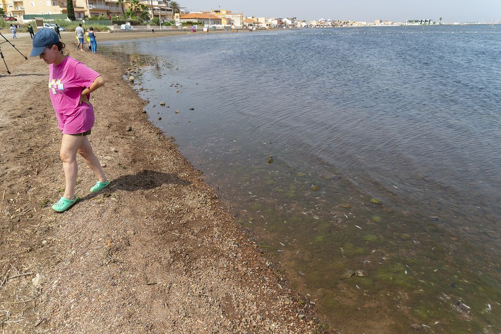 Así han amanecido las playas del Mar Menor