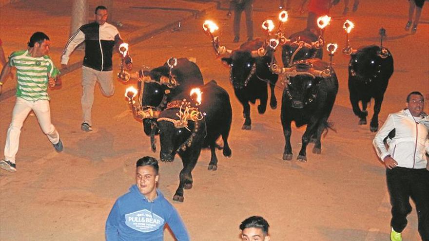 Las peñas taurinas exhiben tres estudios que constatan que la embolada no daña al astado