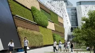 Jardines verticales en fachadas y muros para refrescar las ciudades
