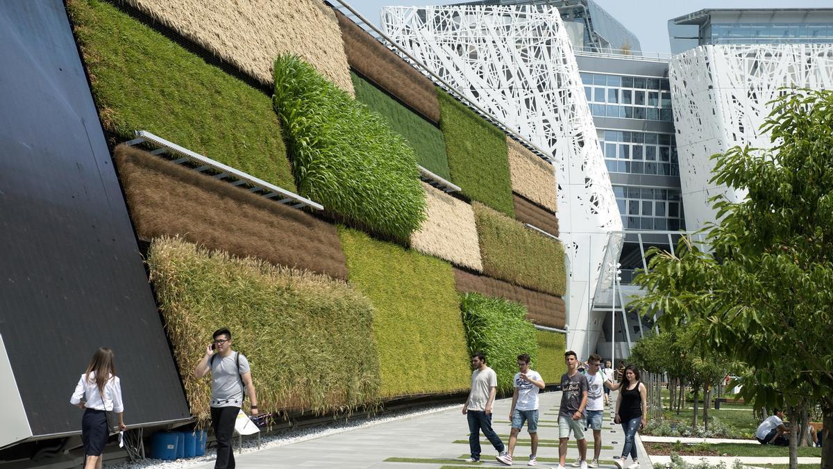 Jardines verticales como forma de refrescar las urbes