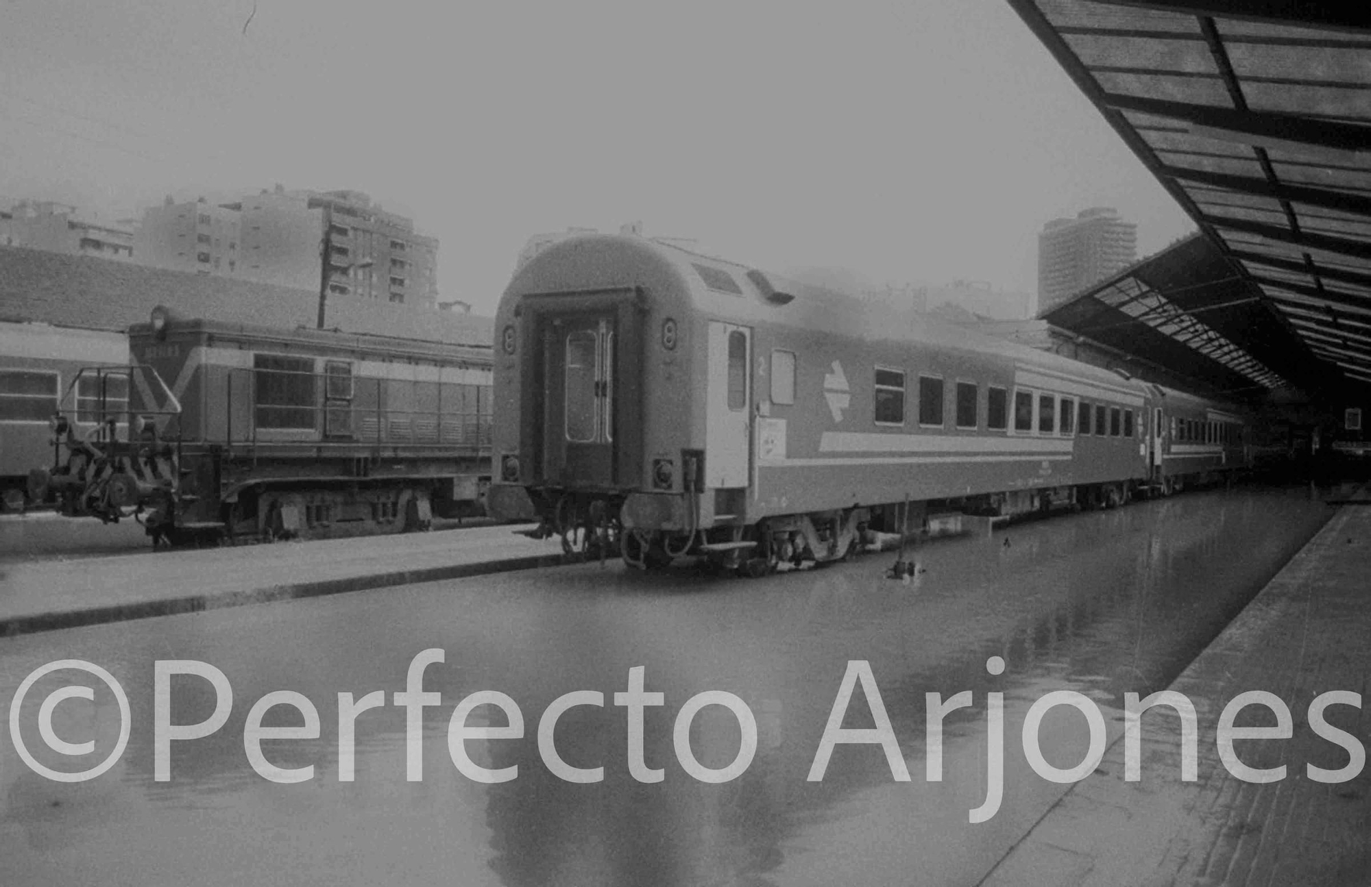 Riada de 1982: El día que Alicante se partió en dos