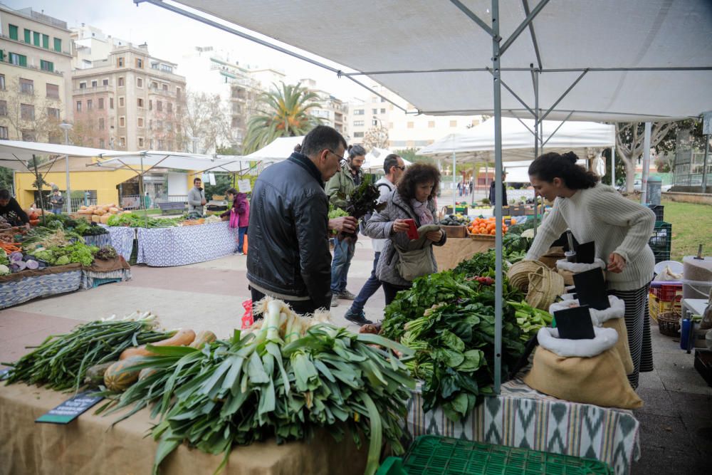 Diez años del Mercat Eco de la plaza de los Patines de Palma