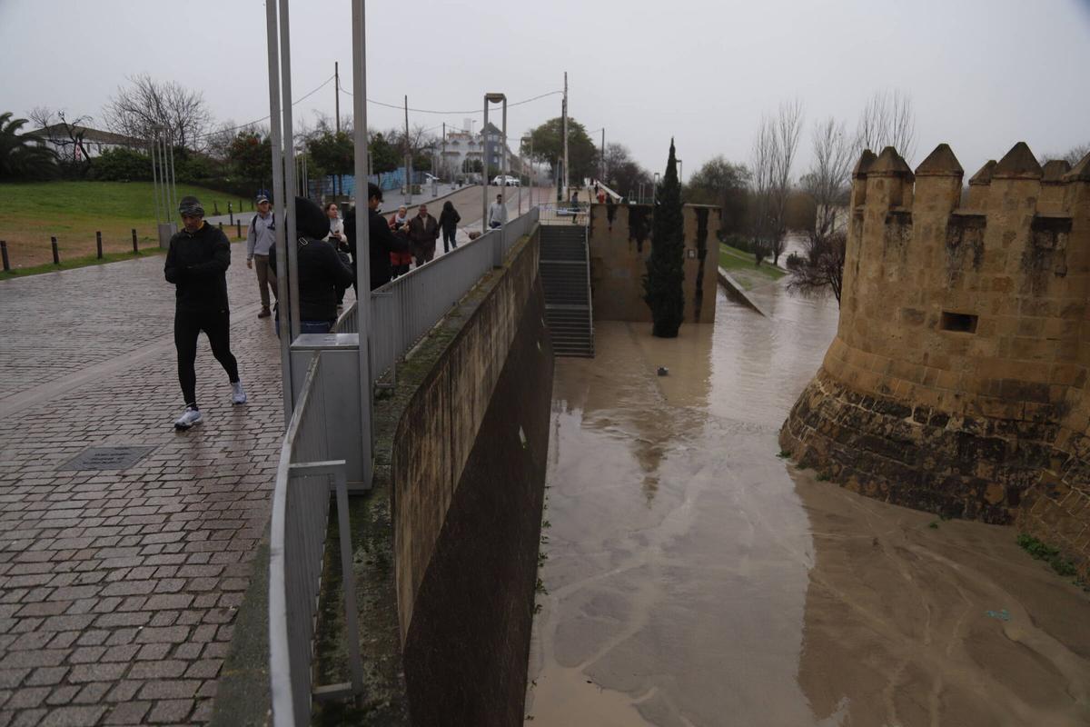 Varias personas caminan junto a la Calahorra, en Córdoba, hoy lunes.