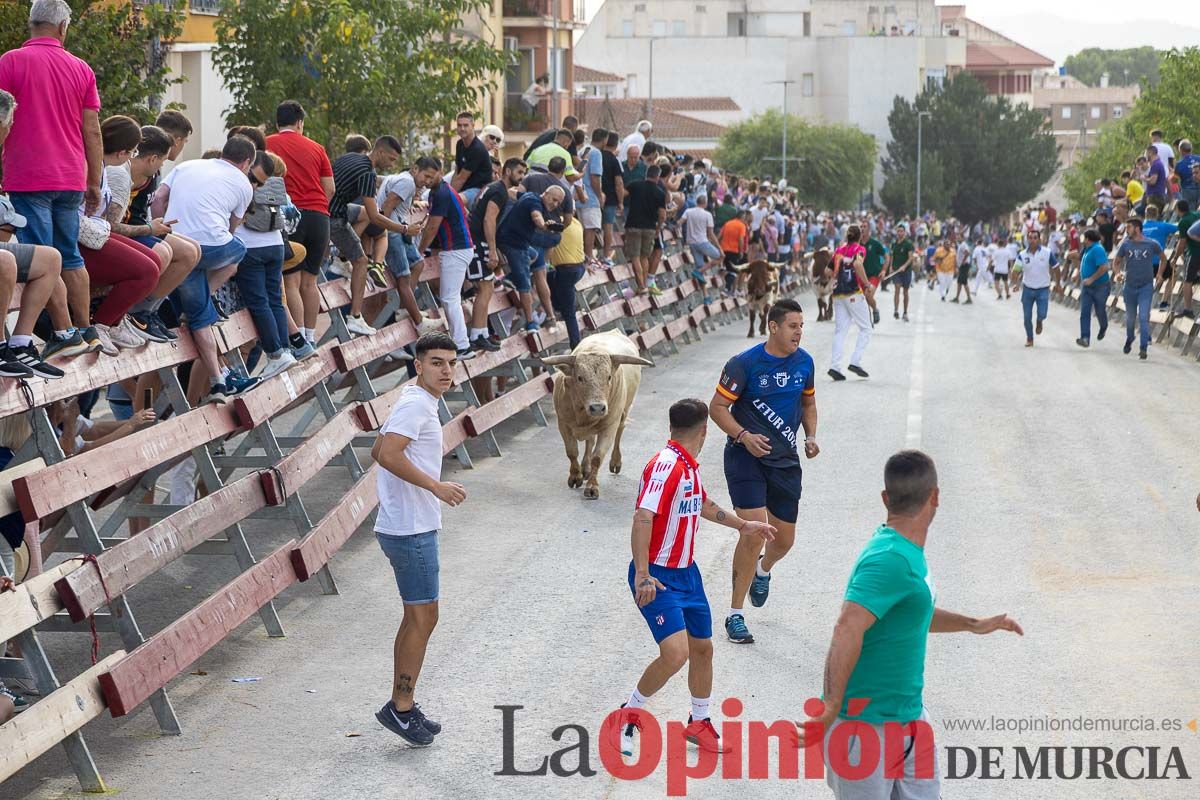 Segundo encierro de la Feria Taurina del Arroz en Calasparra