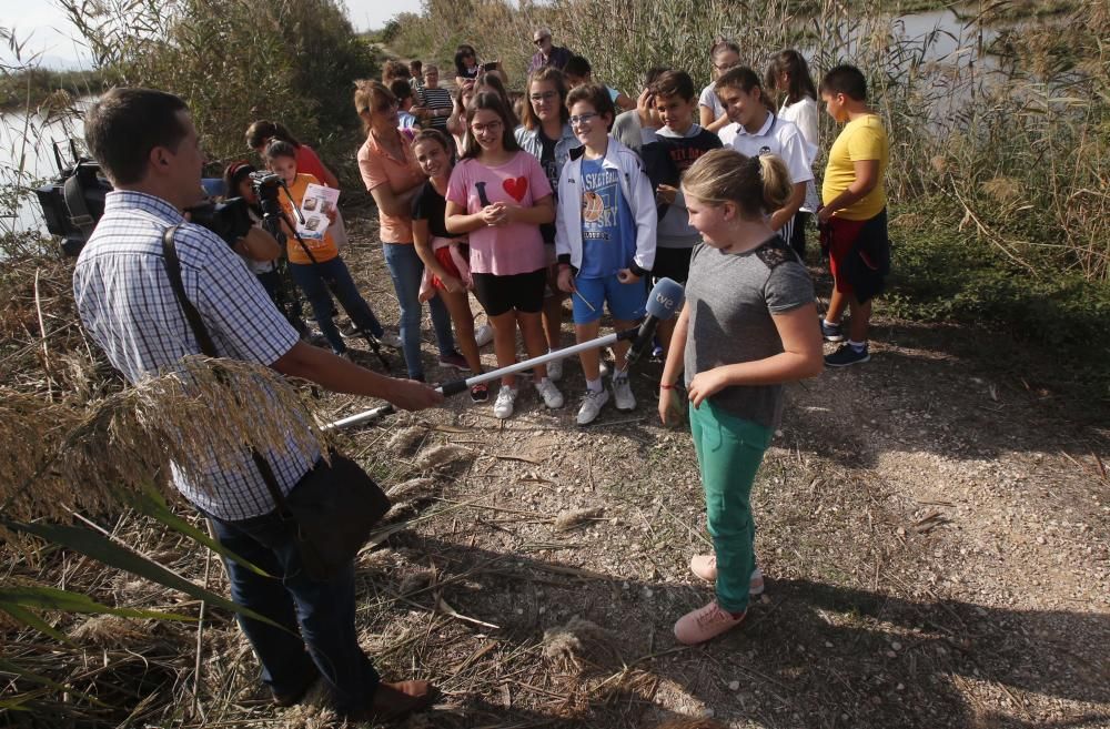 El Oceanogràfic suelta diez galápagos en la Albufera