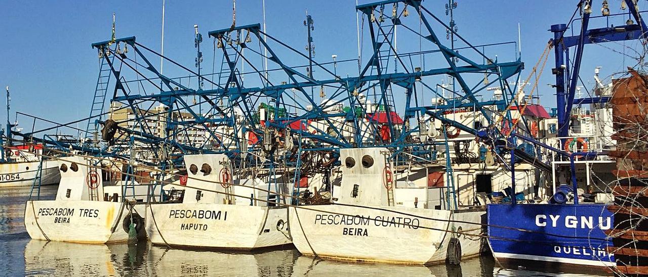 Flota de Nueva Pescanova en Beira, puerto de Mozambique