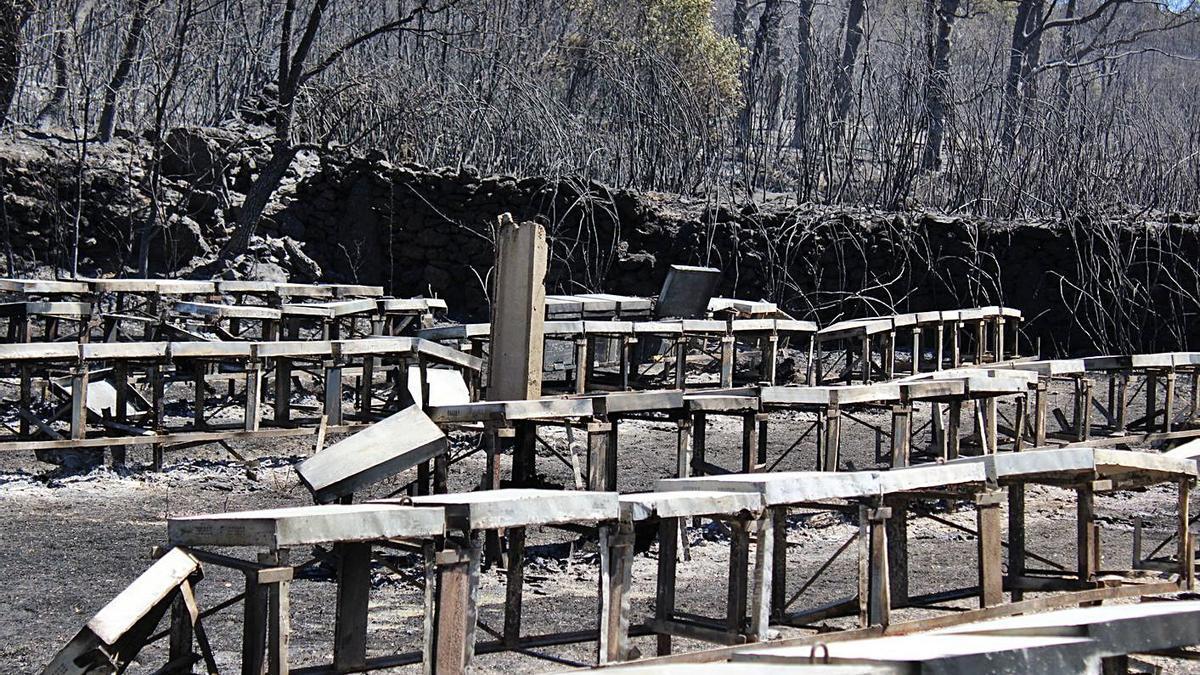 160 colmenas quemadas del apicultor trashumante Roberto Iglesias Marcos. | AracelI Saavedra