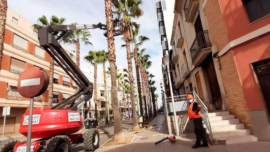 Vila-real licita el mantenimiento de jardines por 1,1 millones al año