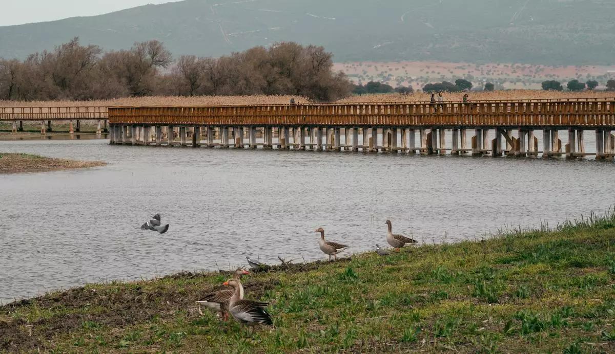 Vista de Las Tablas de Daimiel, hace justo un año, cuando su situación era preocupante.