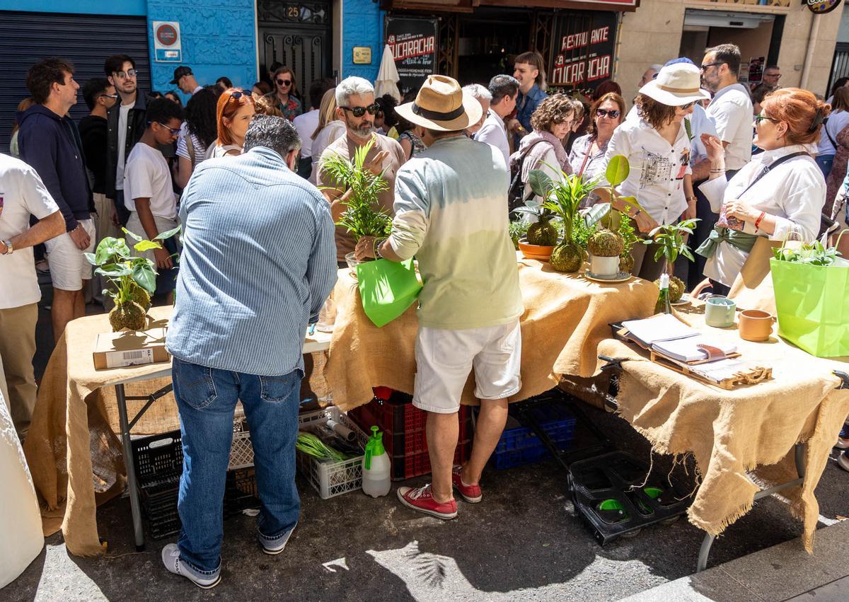 Poeta Quintana llena la calle