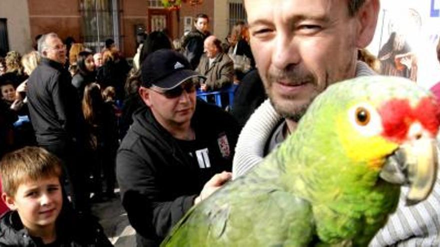 Un hombre muestra su pájaro durante la celebración.