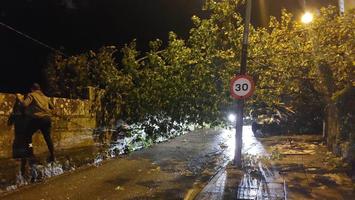 Otro árbol, en Castrelos, cortó la calle Canicouva durante la noche del jueves.