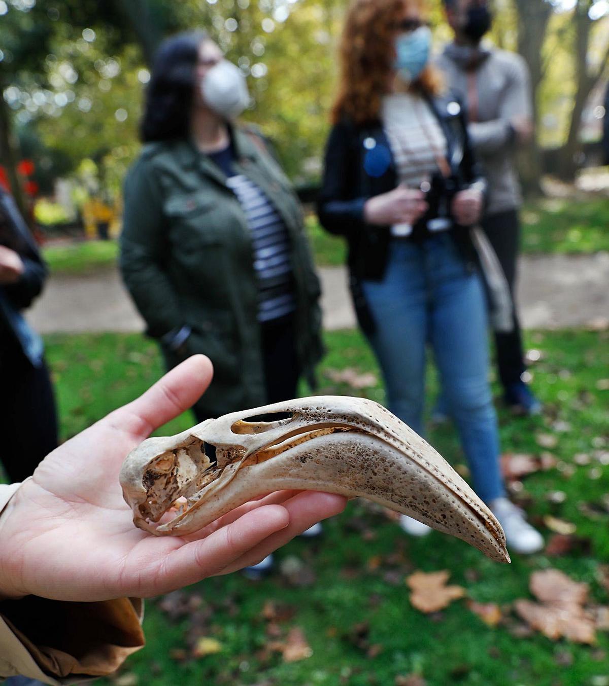 Asistentes a la ruta concentrados en la observación de aves.