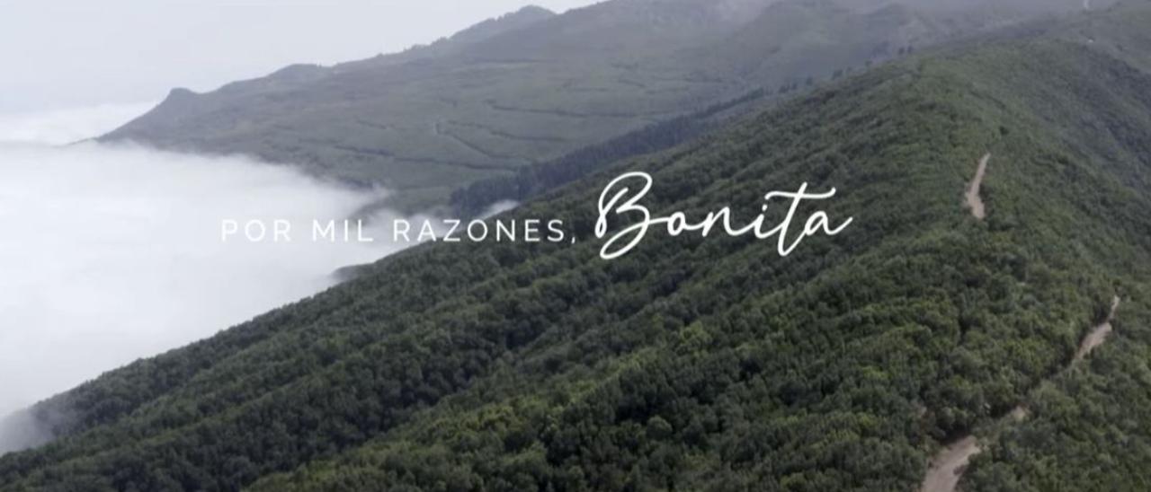 'Por mil razones, Bonita', la campaña de La Palma que emociona a toda Canarias
