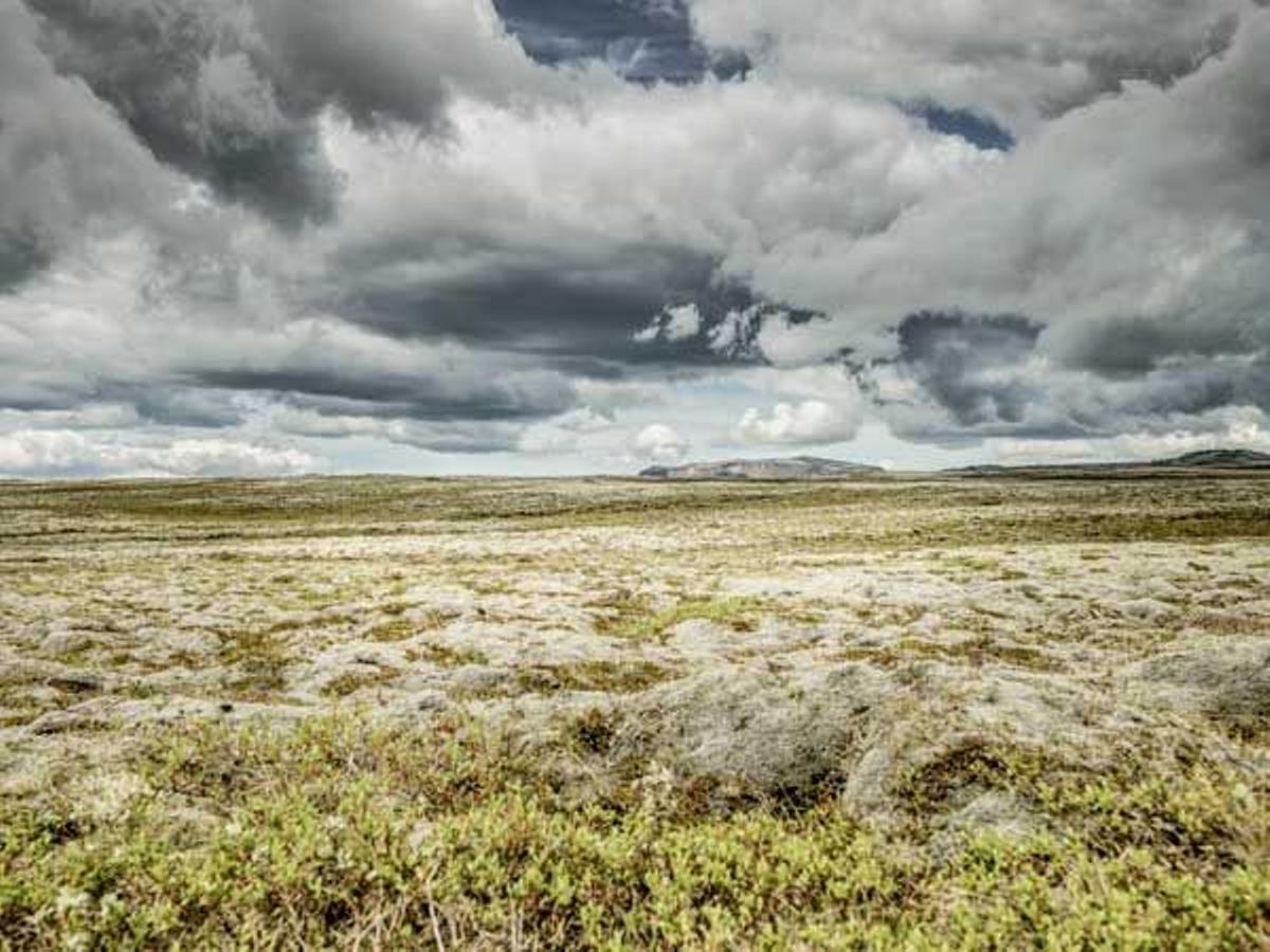 Islandia, a pesar de sus volcanes, cuenta con vastas llanuras.