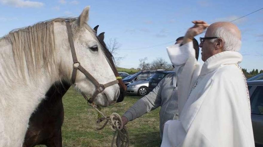 El párroco Ignacio Gallo bendice un caballo. En la imagen de la derecha, Carlos Manuel Borges, con &quot;Luna&quot; y &quot;Argo&quot;, en Robledo.