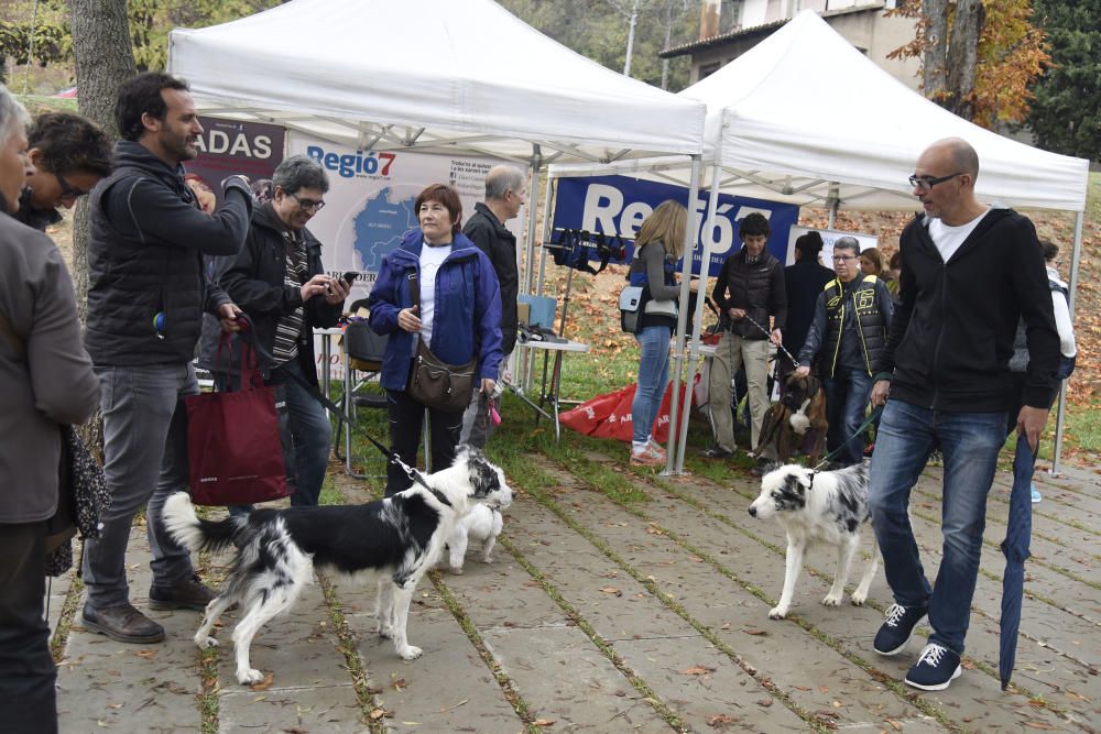 Caminada solidària de Regió7 a Solsona