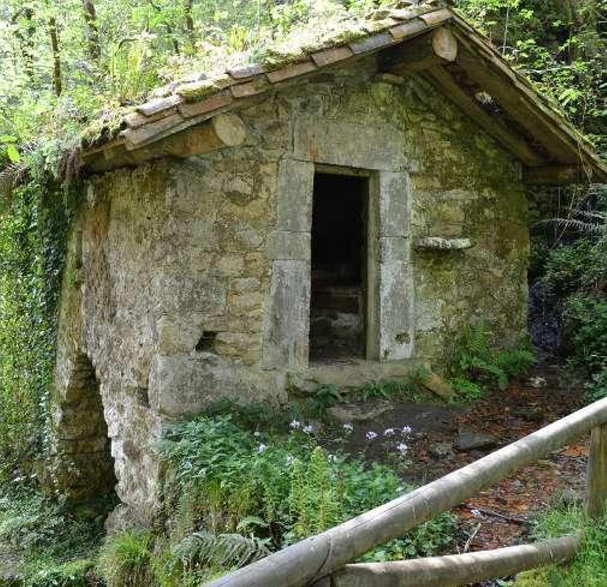 El "baño de bosque", la terapia ideal para el otoño