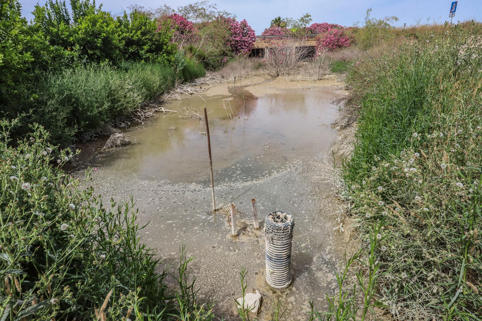 El agua de drenajes agrícolas con fertilizantes del Campo de Salinas desborda las fincas y llega a la laguna de Torrevieja