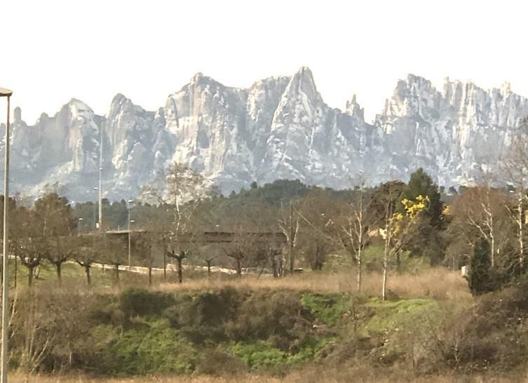 Imatges de la nevada d'avui a la Catalunya central