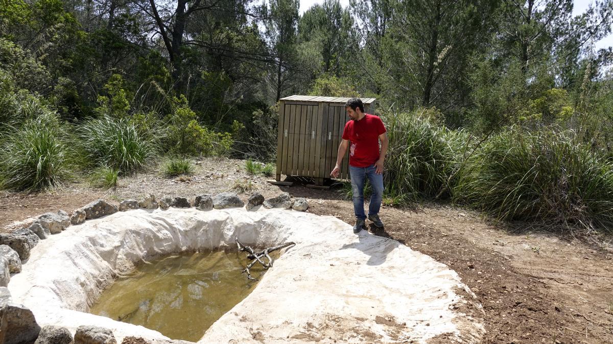 El regidor Rafel Sedano, junto a uno de los nuevos observatorios de aves de Galatzó.