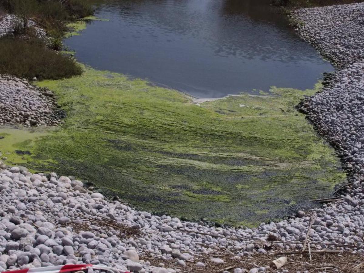 Vertidos de aguas fecales en el Parque Natural de ses Salines