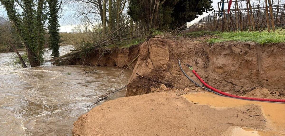 La mota de Gualta que els aiguats han tornat a trencar.