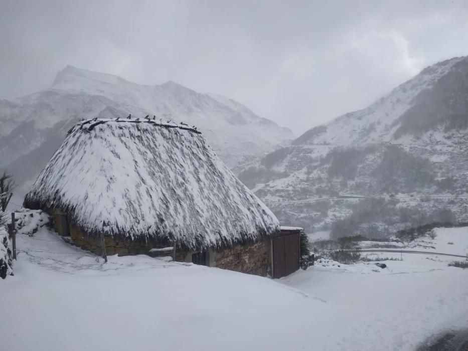 Temporal de nieve en el puerto de Somiedo y La Peral.