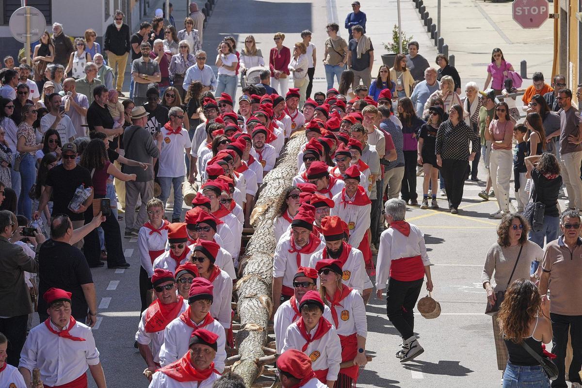 Les imatges de la plantada de l'arbre de Maig i del ball del Cornut de Cornellà del Terri Les imatges de la plantada de l'arbre de Maig i del ball del Cornut de Cornellà del Terri
