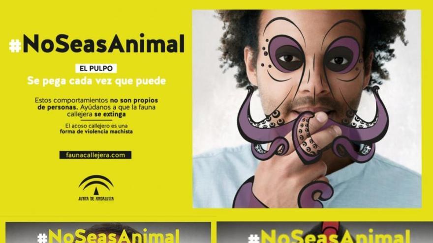 Equo rechaza el uso de &quot;animales inocentes&quot; para enmascarar a los acosadores