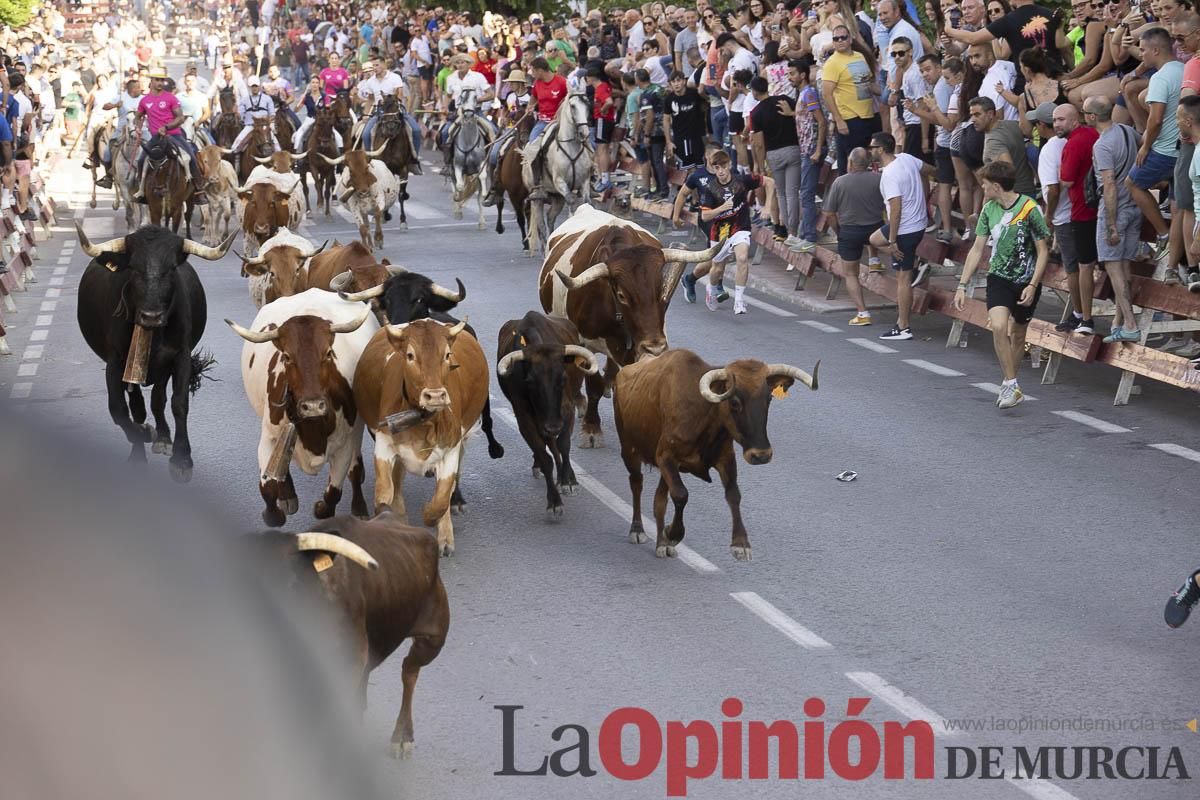Quinto encierro de las Fiestas de Moratalla
