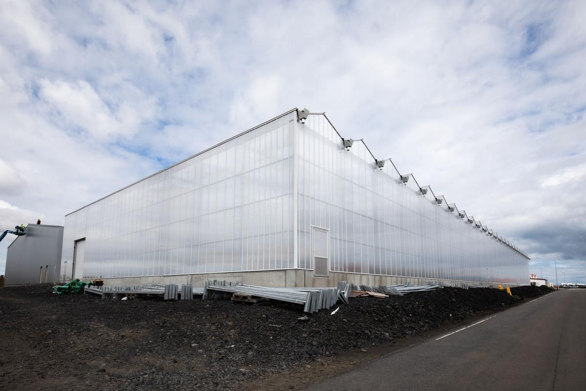 En estas instalaciones de Algalif, en Islandia, se cultivan las microalgas de las que se extrae un valioso antioxidante: la astaxantina
