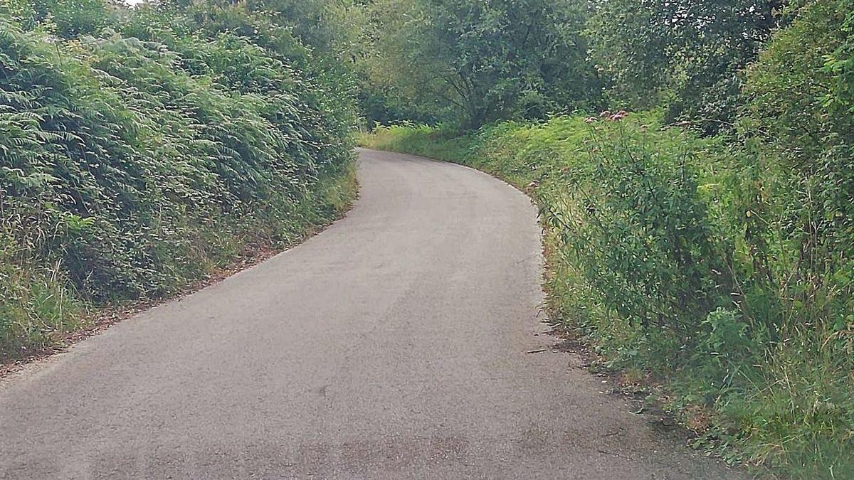 Maleza en las cunetas de la carretera del Alto de la Madera.