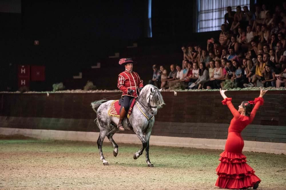 Así bailan los caballos cordobeses en Eslovenia