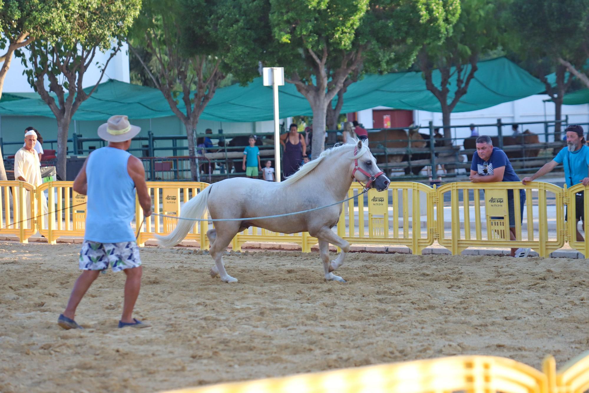 Feria del Ganado Dolores FEGADO 2022