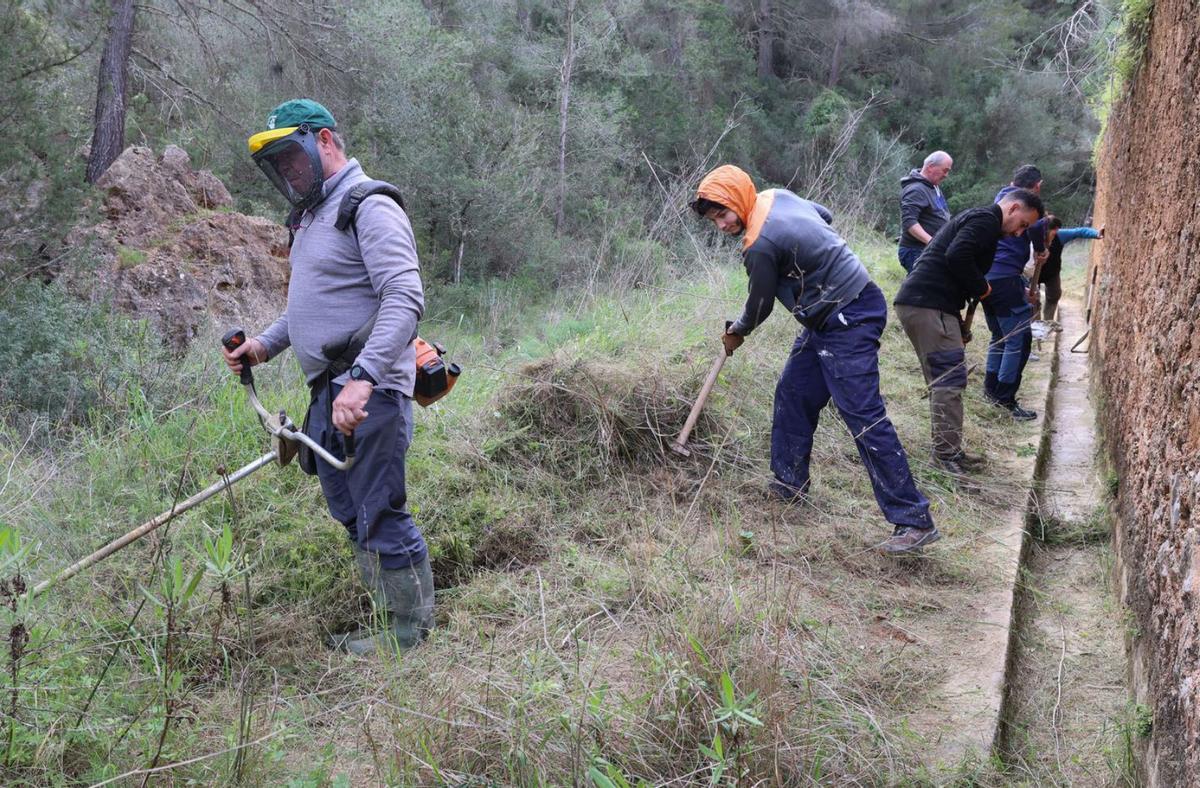 Trabajos de desbroce del entorno de las canalizaciones de es Broll. | J. A. RIERA