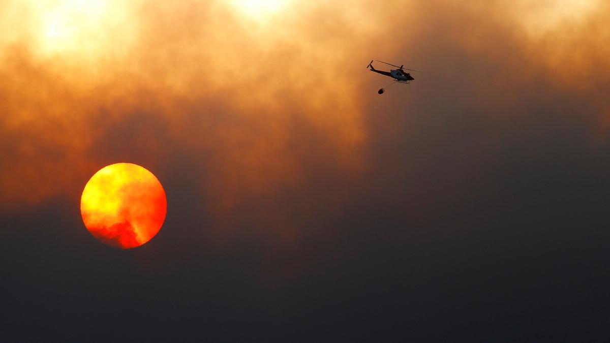 Un incendio arrasa 400 hectáreas de espacio protegido en Arico.