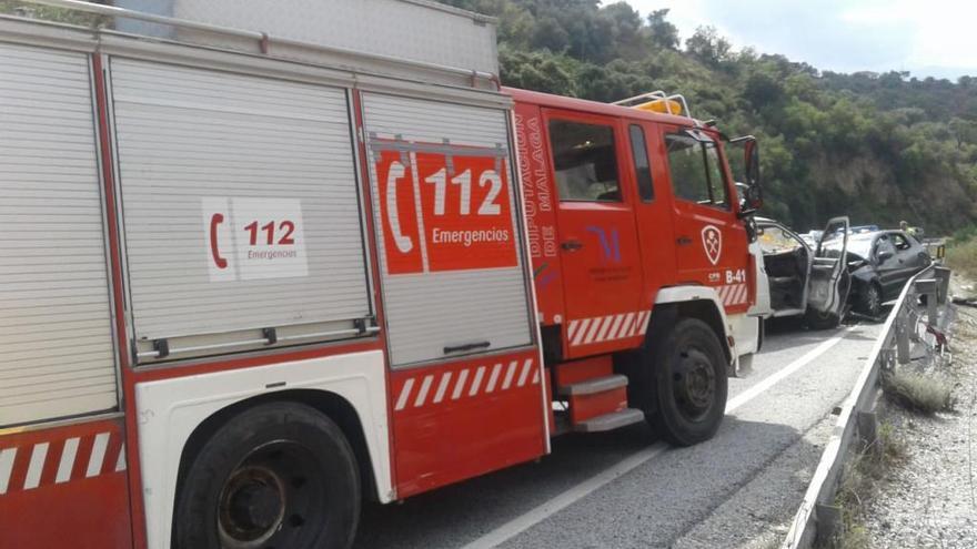 Una unidad de bomberos, en la carretera donde se produjo el accidente.