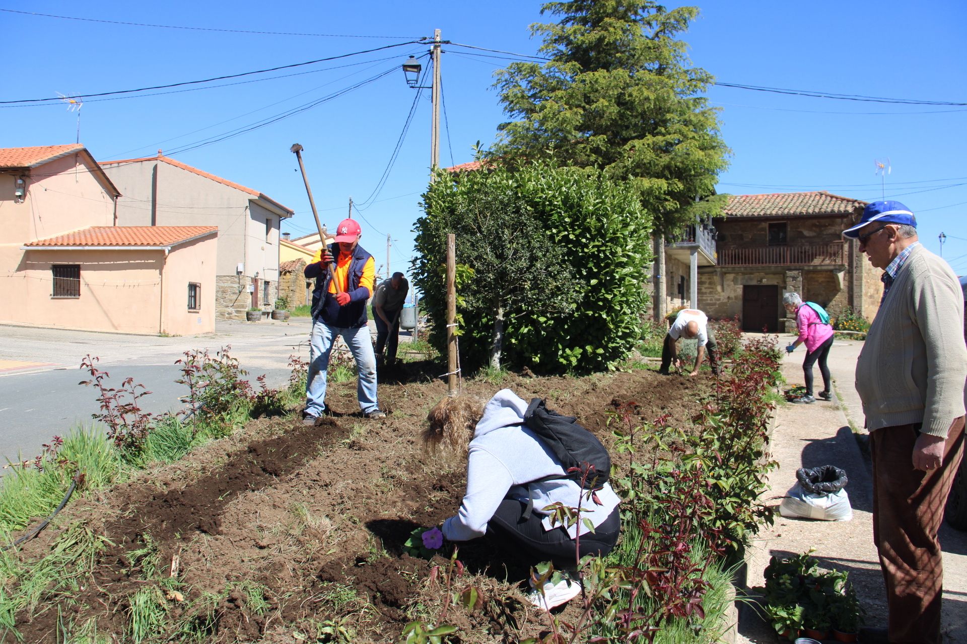 Los voluntarios cervatos arreglan los espacios verdes de la villa