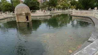 Adiós a los animales del estanque del parque Ribalta de Castelló. Pero esta no es la única novedad en la emblemática 'basseta dels peixets'...
