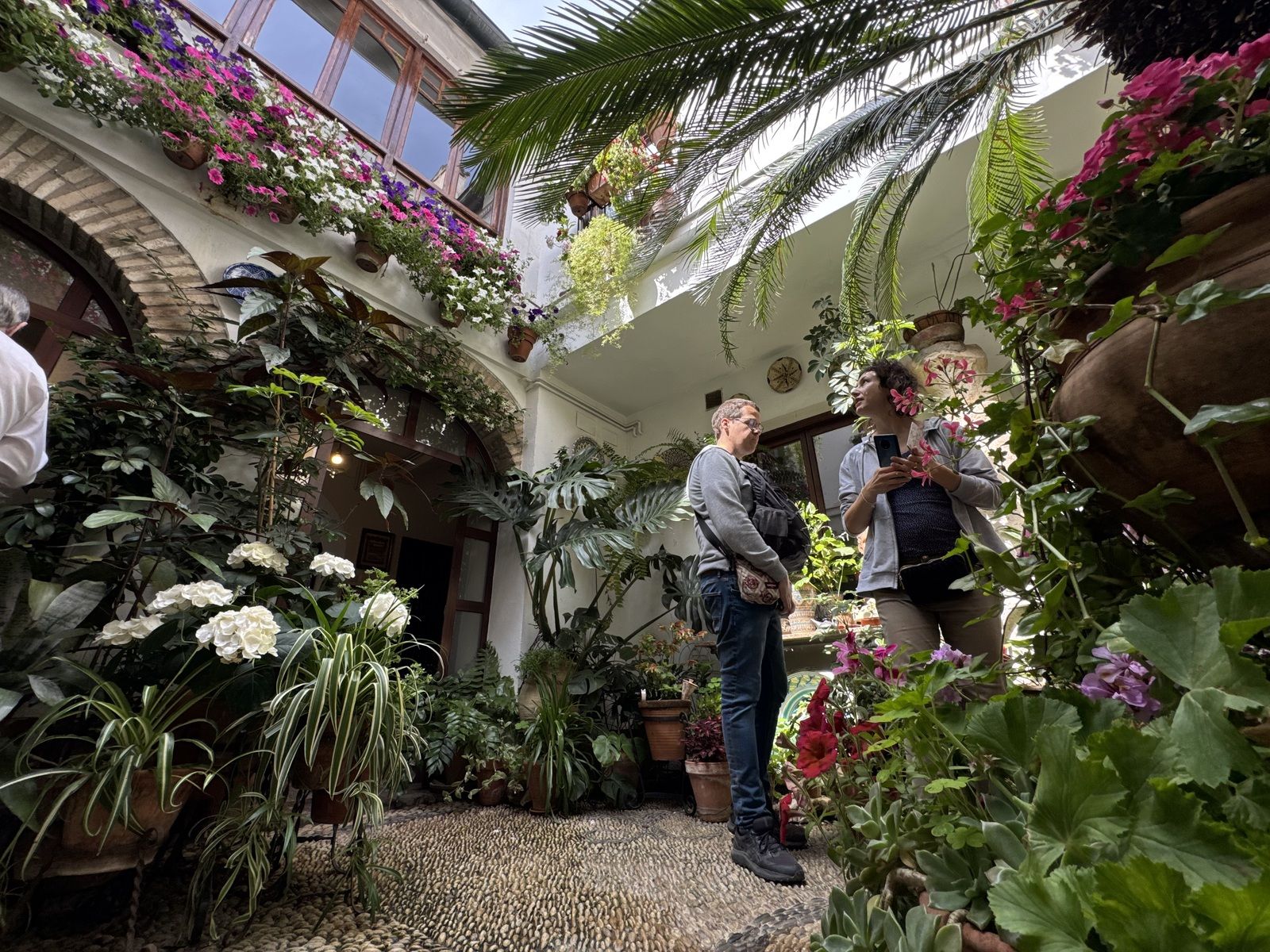 La Ruta 4 de los Patios de Córdoba, en imágenes