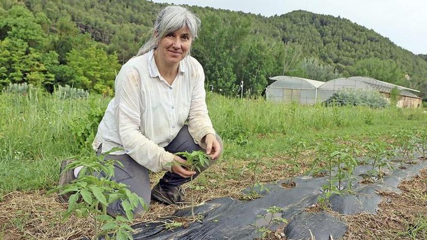 Llavors que conserven la tradició rural