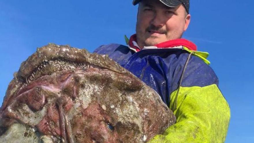 Un pixín de auténtico récord: así es el espectacular ejemplar pescado frente al cabo de Lastres