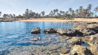 El Ayuntamiento de Torrevieja quiere construir viales y parkings en la cala protegida de Ferrís para darle uso turístico