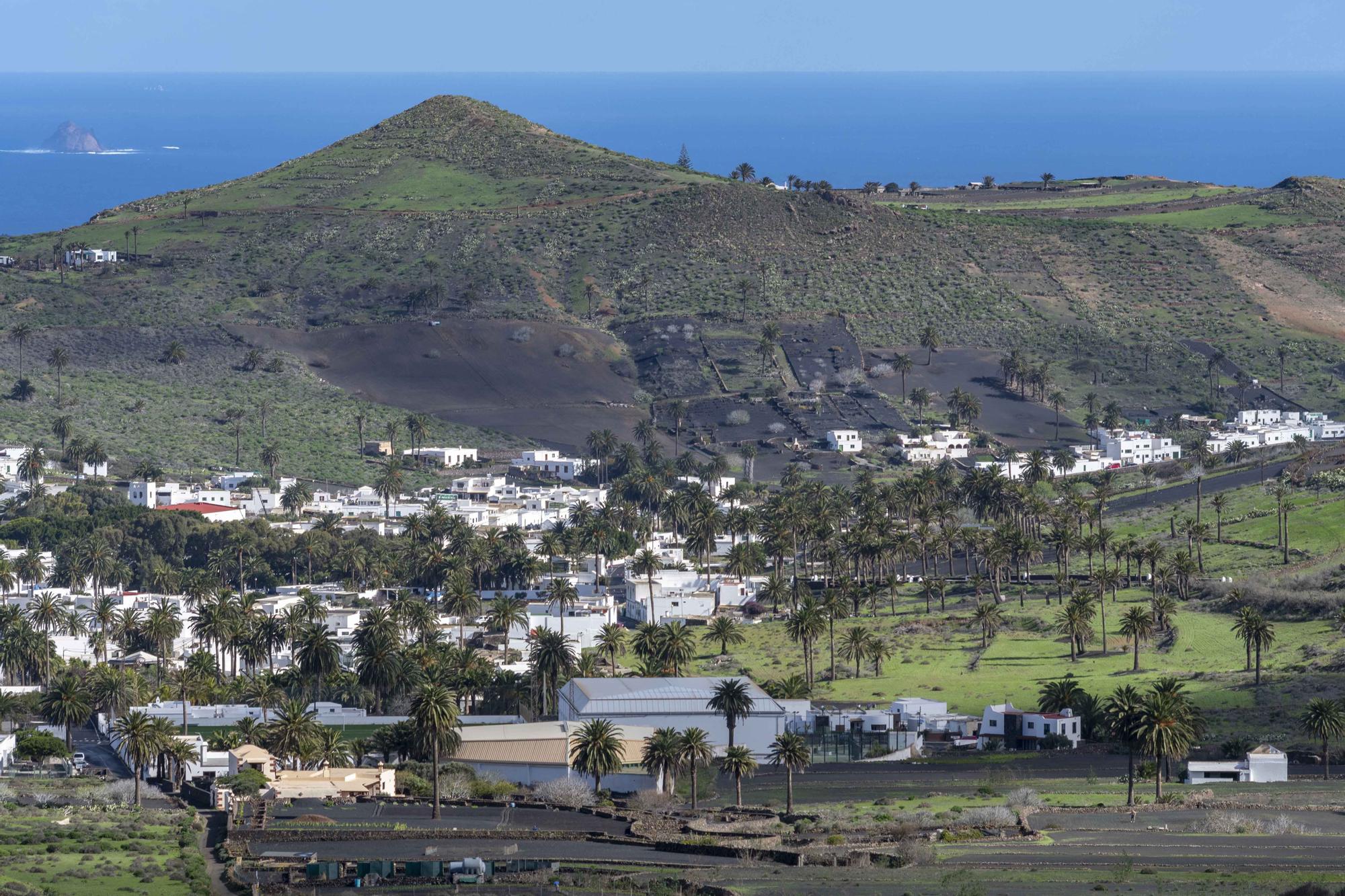 El norte de Lanzarote se tiñe de verde tras las recientes lluvias de este invierno