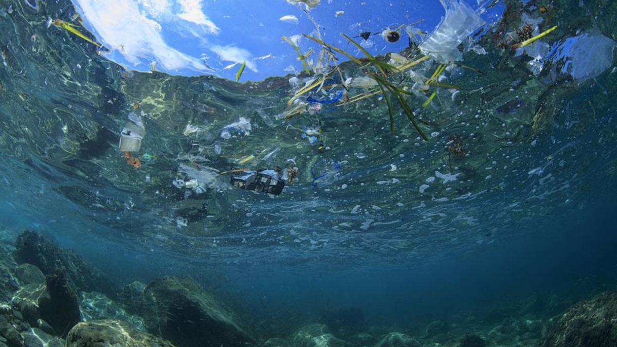 Residuos plásticos en el mar.