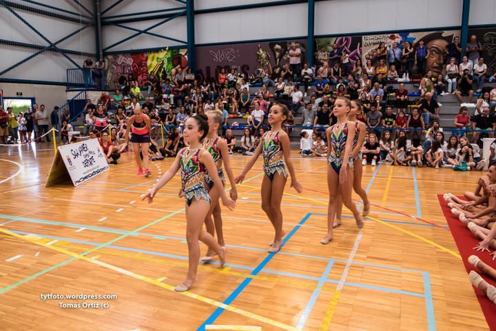 Regional de gimnasia rítmica