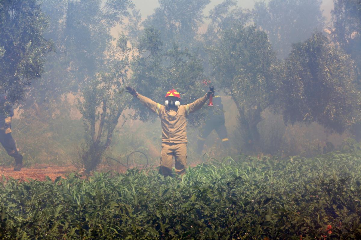 Wildfire in Greeces Attica region